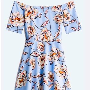 Kayla Off The Shoulder Knit Dress